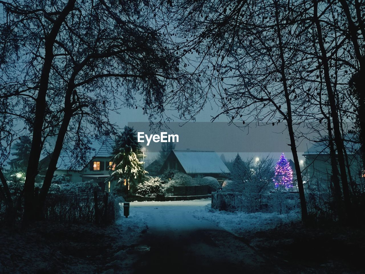 Houses and trees against sky at dusk