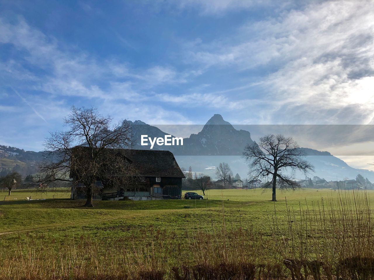 Scenic view of field against sky