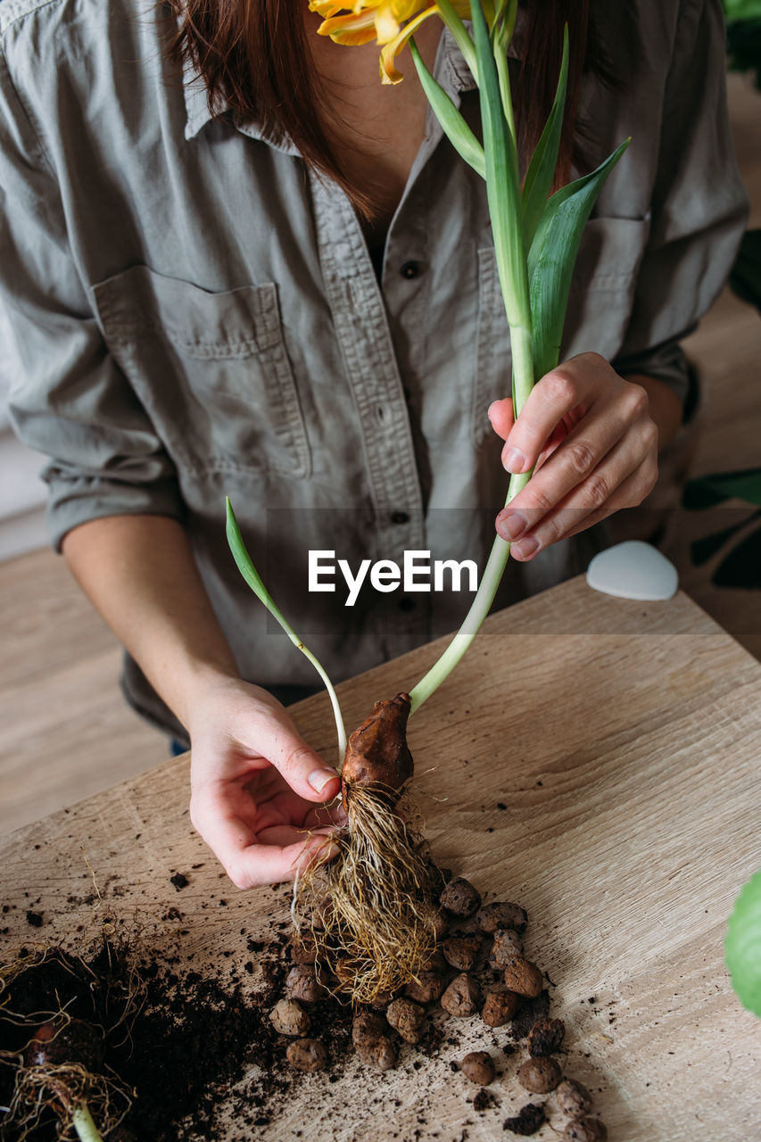 Young woman is transplanting houseplant. spring fertilizer for home flowers