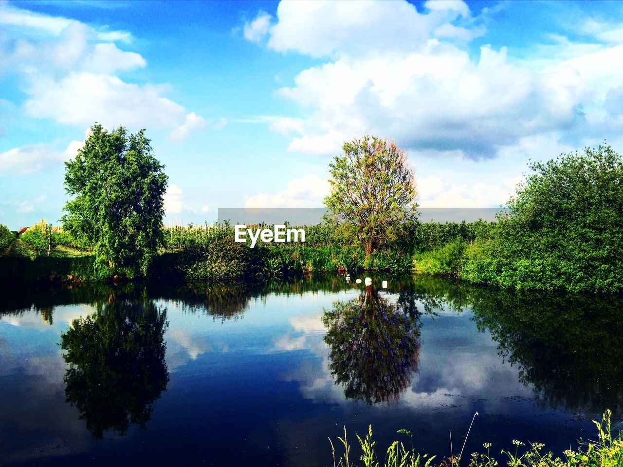 REFLECTION OF TREES ON LAKE AGAINST SKY