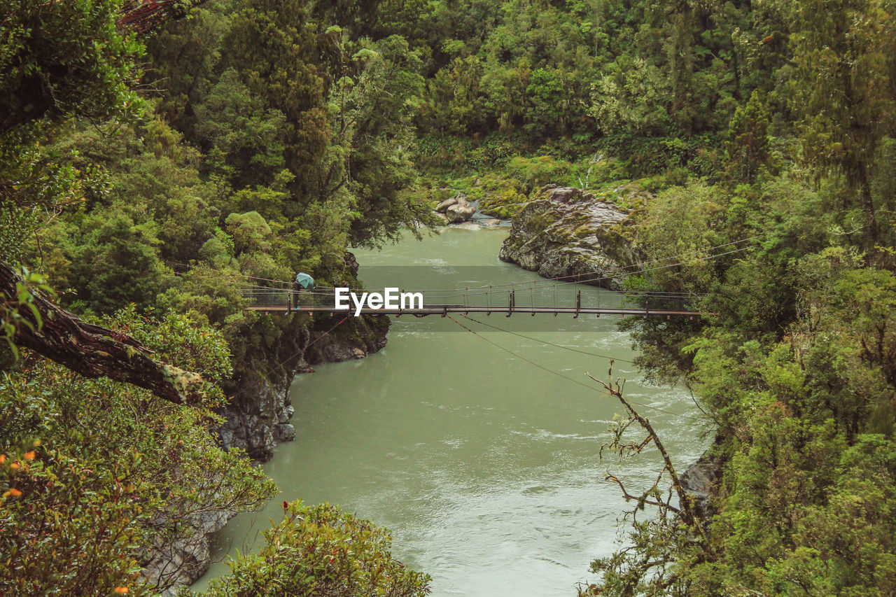 HIGH ANGLE VIEW OF RIVER FLOWING IN FOREST