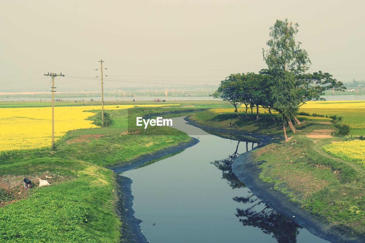 SCENIC VIEW OF FIELD AGAINST CLEAR SKY