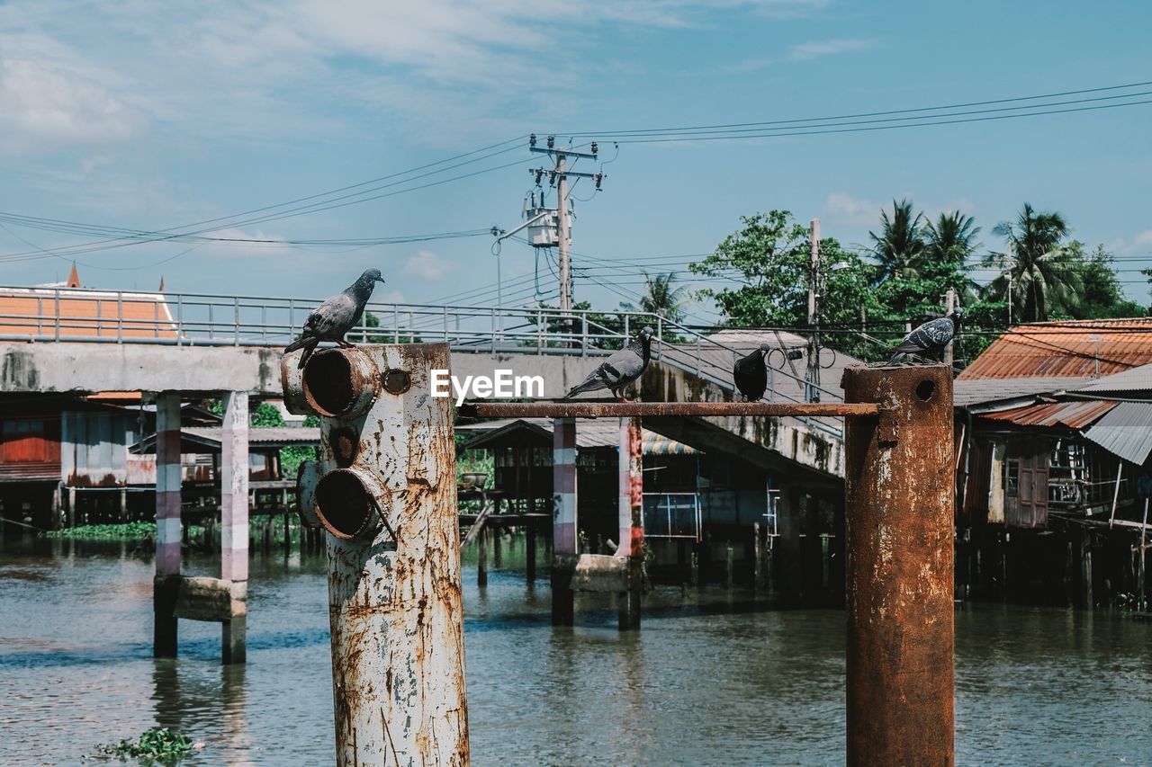 WOODEN POSTS IN ABANDONED BUILDING AGAINST SKY