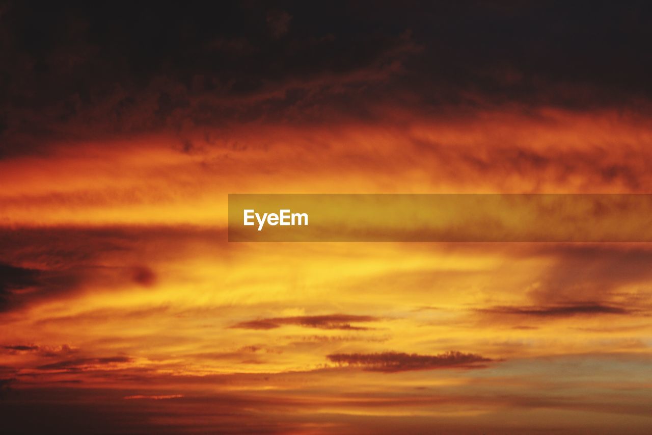 LOW ANGLE VIEW OF ORANGE SKY