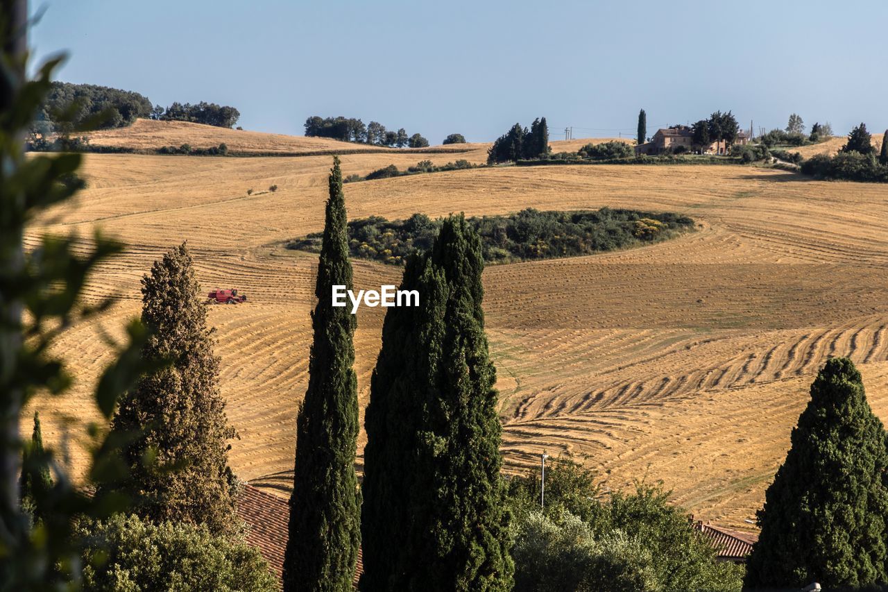 Scenic view of field against clear sky