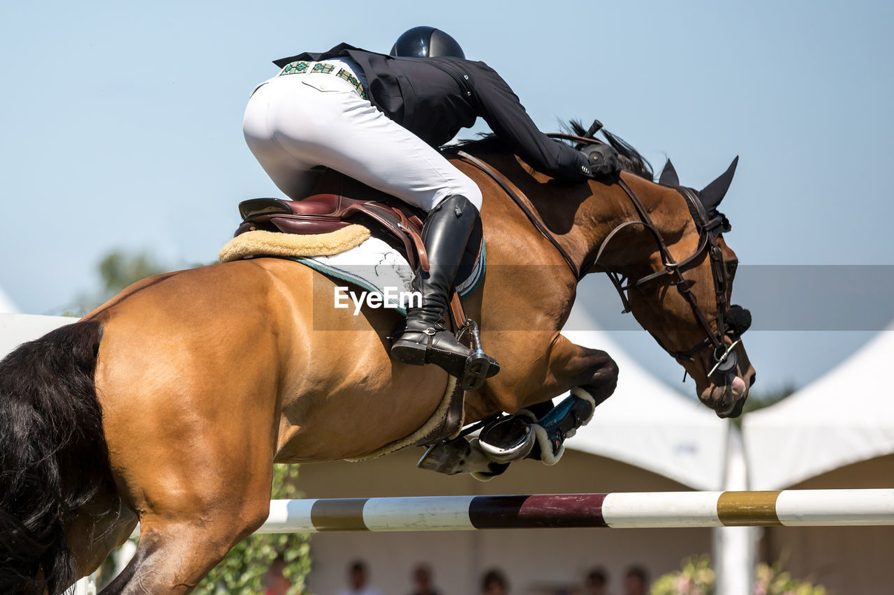 Jockey horseback riding over obstacle