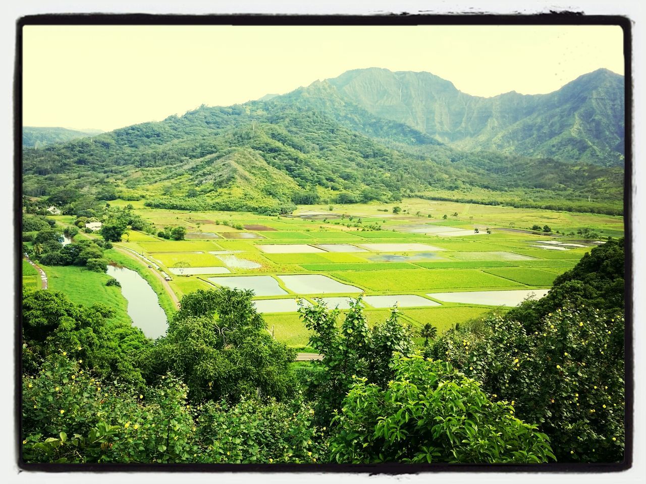 View of rural landscape 