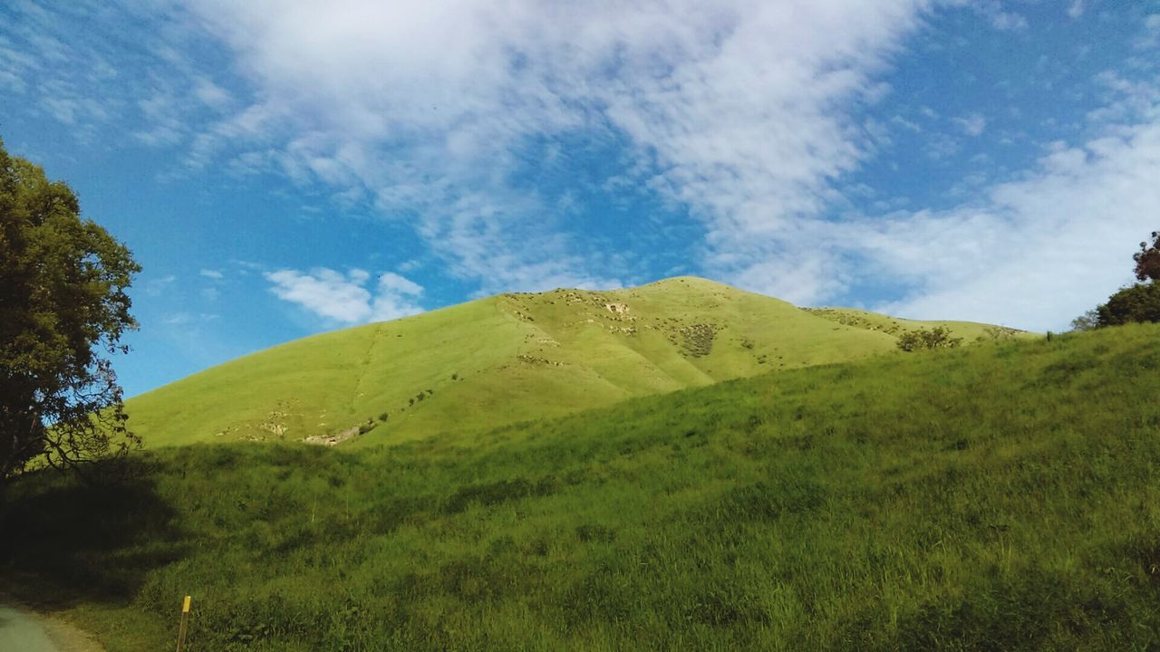 Low angle view of green mountain against sky