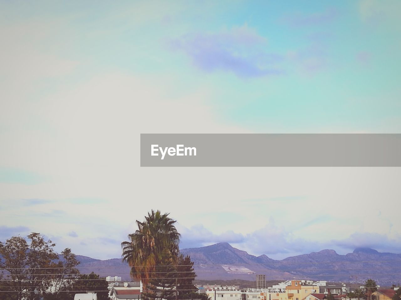 PANORAMIC VIEW OF TREES AGAINST SKY