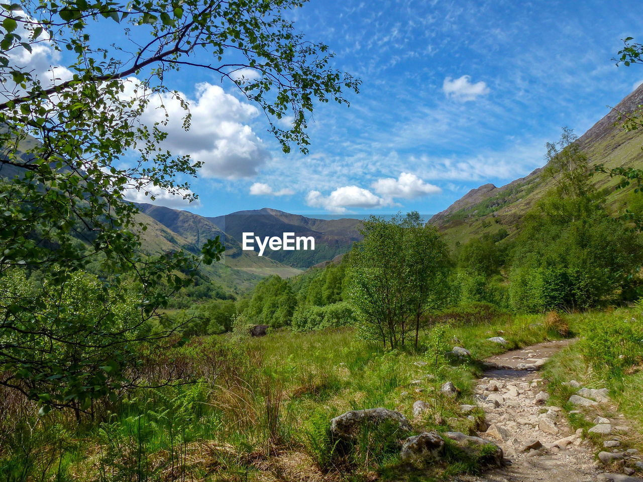 SCENIC VIEW OF LANDSCAPE