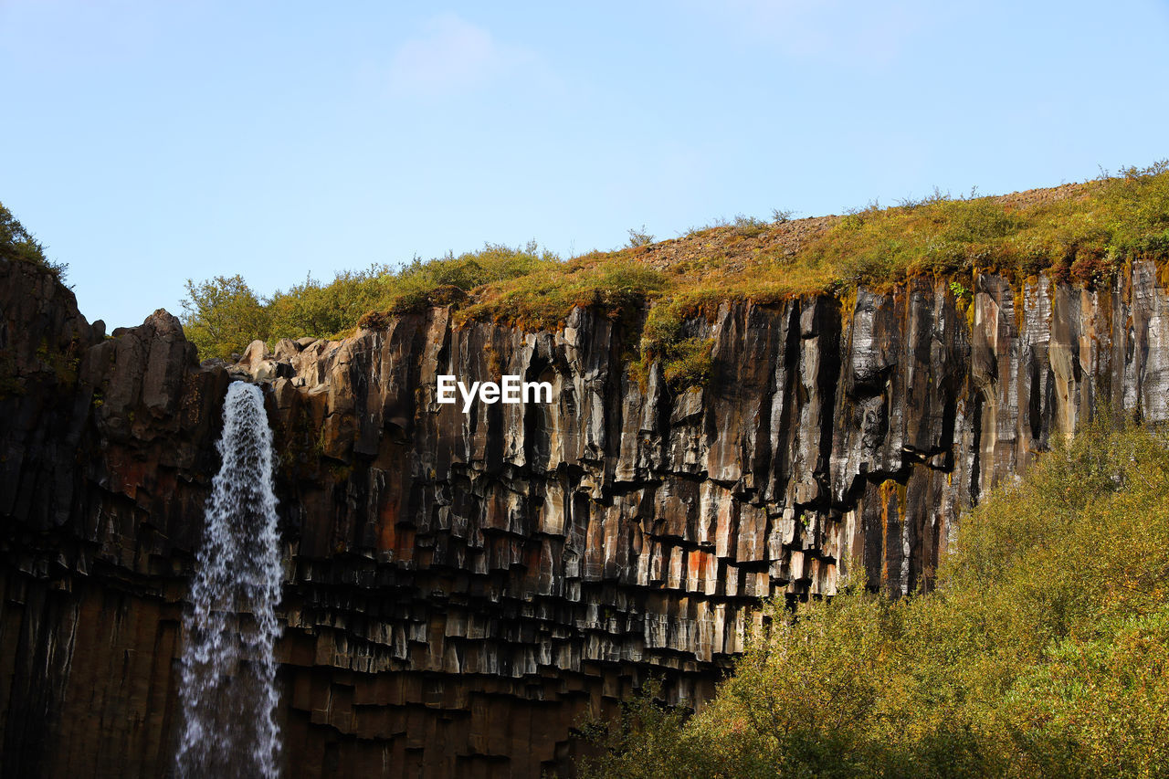 Low angle view of trees on mountain against clear sky