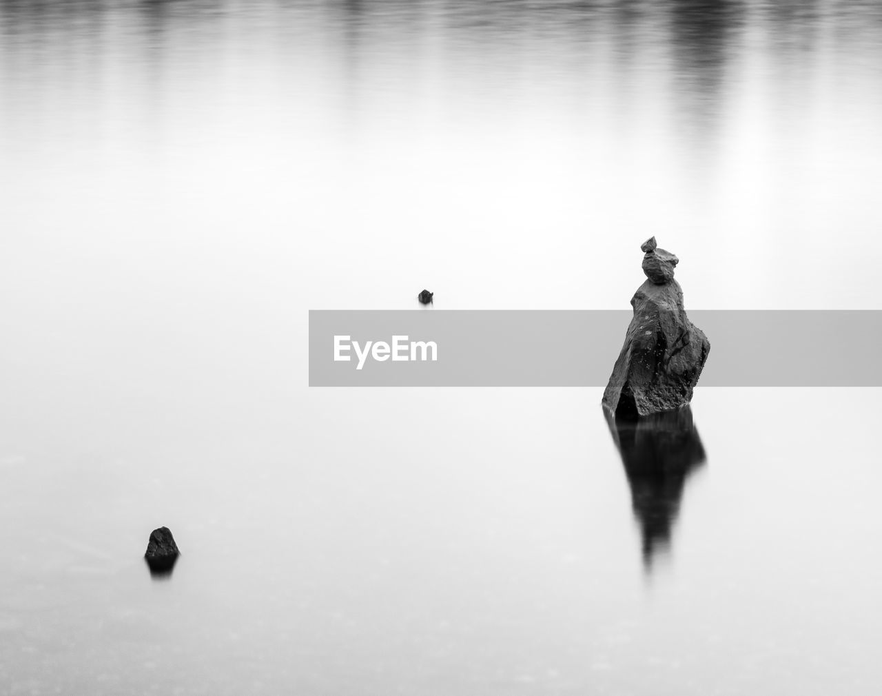 BIRD FLYING OVER LAKE