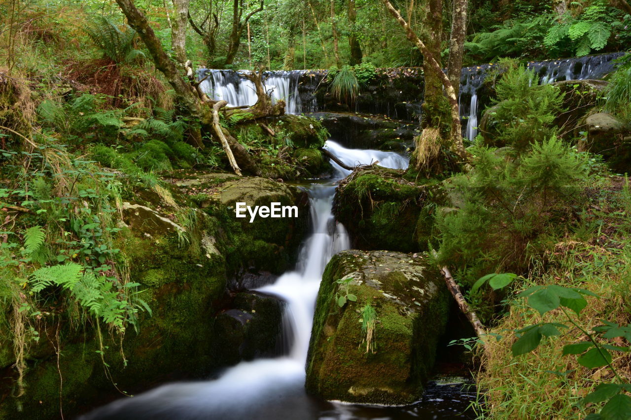 WATERFALL IN FOREST