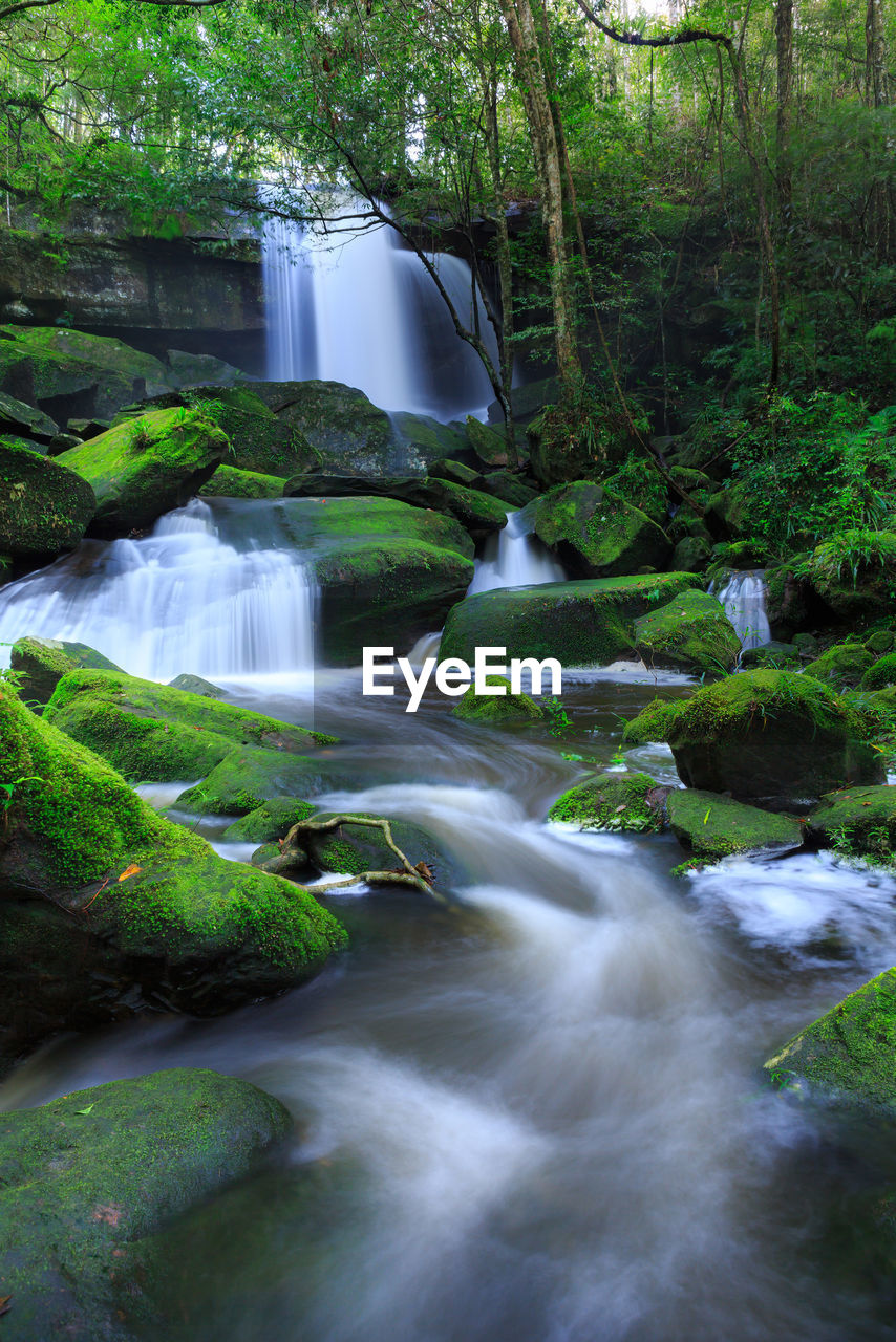 SCENIC VIEW OF WATERFALL