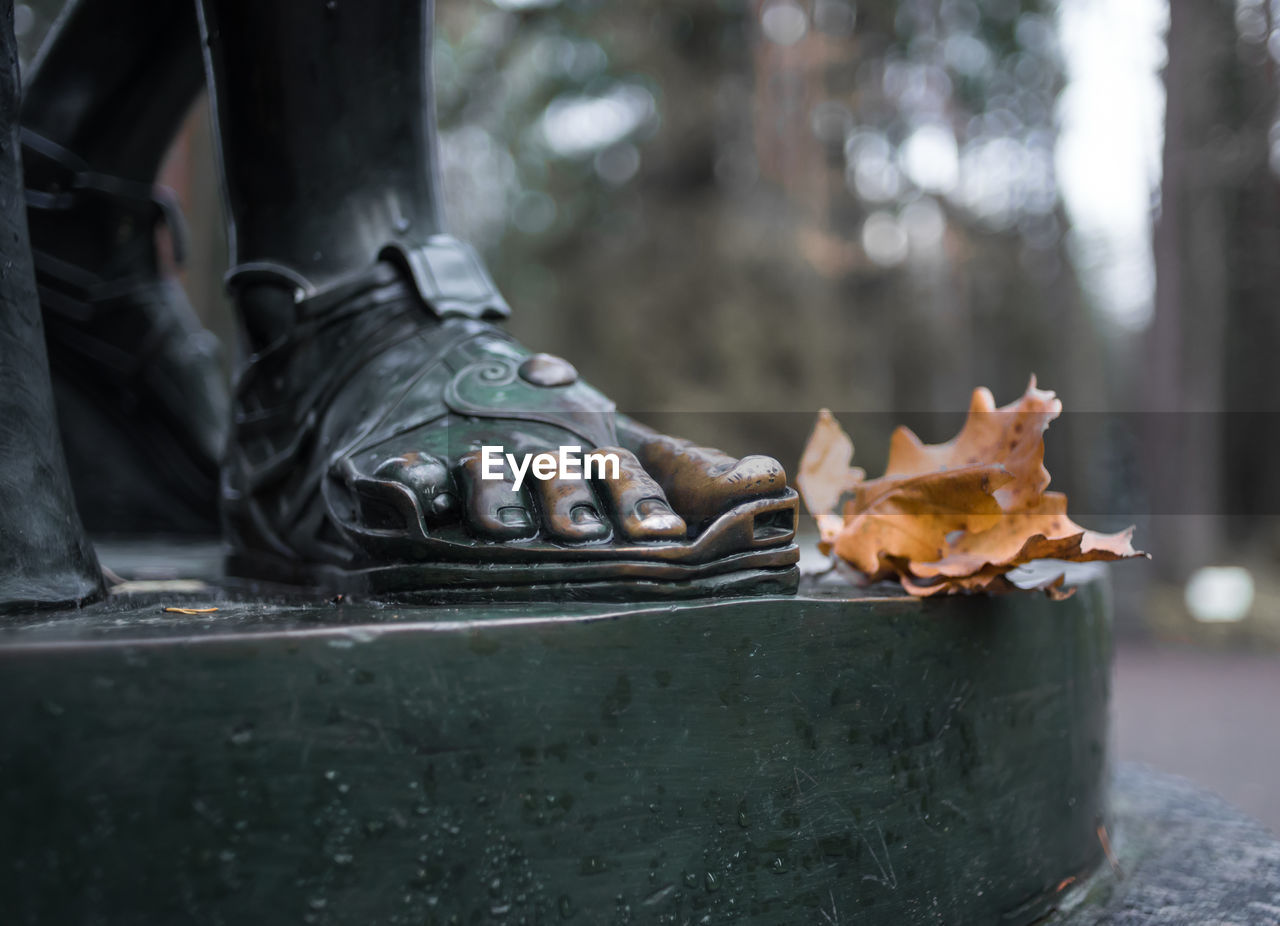 Close-up of statue during autumn