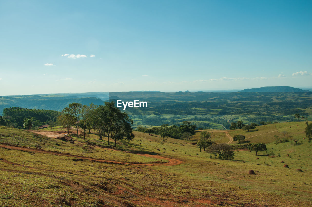 Meadows and trees in a green valley with mountainous landscape, in pardinho, brazil.