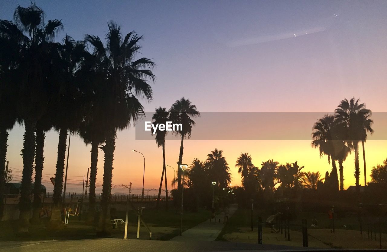 SILHOUETTE PALM TREES AGAINST SKY AT SUNSET