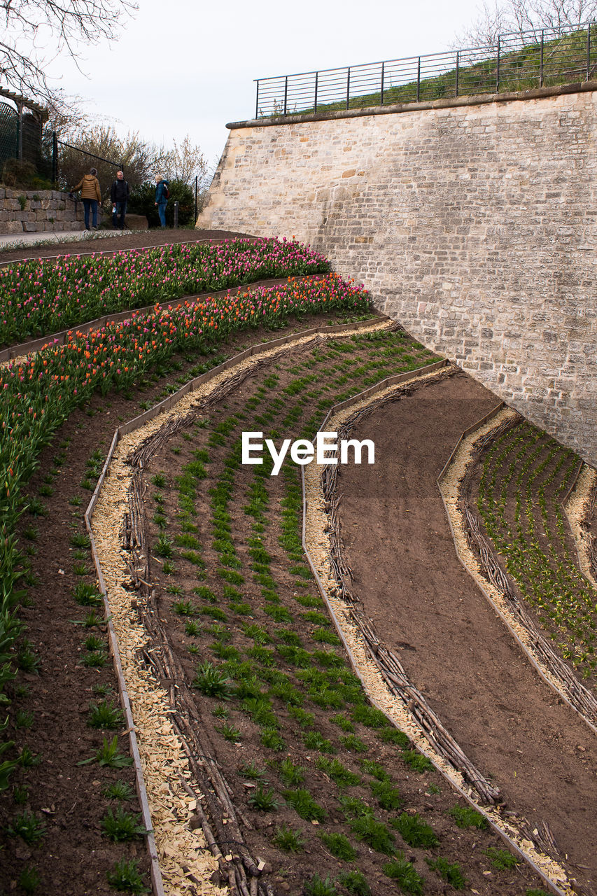 VIEW OF STONE WALL IN GARDEN