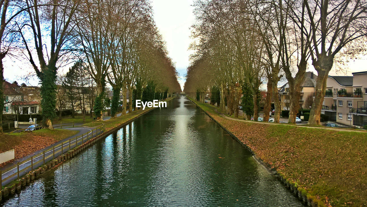 Scenic view of river amidst trees in city