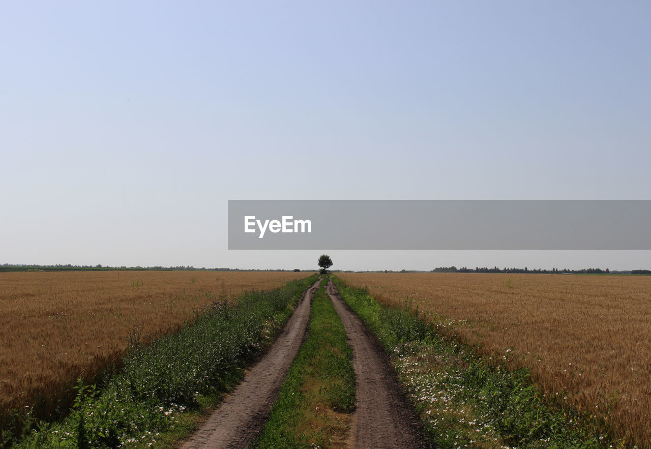 Agricultural field against sky