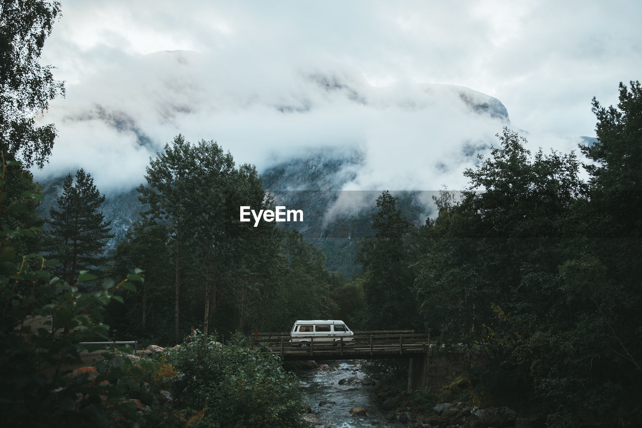 SCENIC VIEW OF RIVER AMIDST TREES IN FOREST