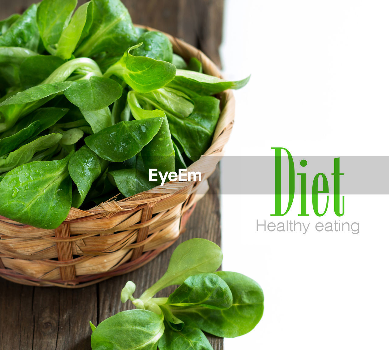 CLOSE-UP OF FRESH GREEN LEAVES IN BASKET