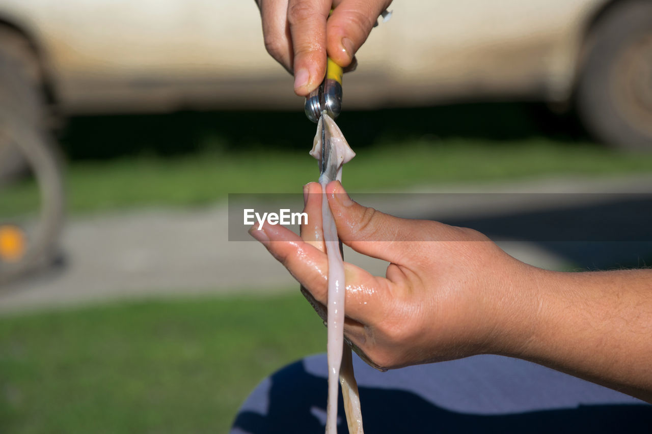 CLOSE-UP OF PERSON HOLDING HAND