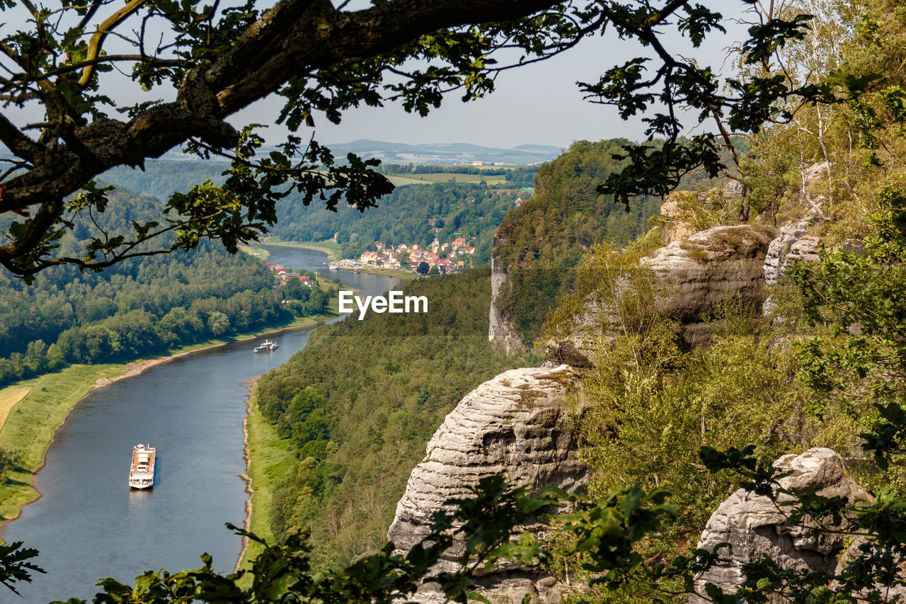 HIGH ANGLE VIEW OF TREES AND MOUNTAIN LANDSCAPE