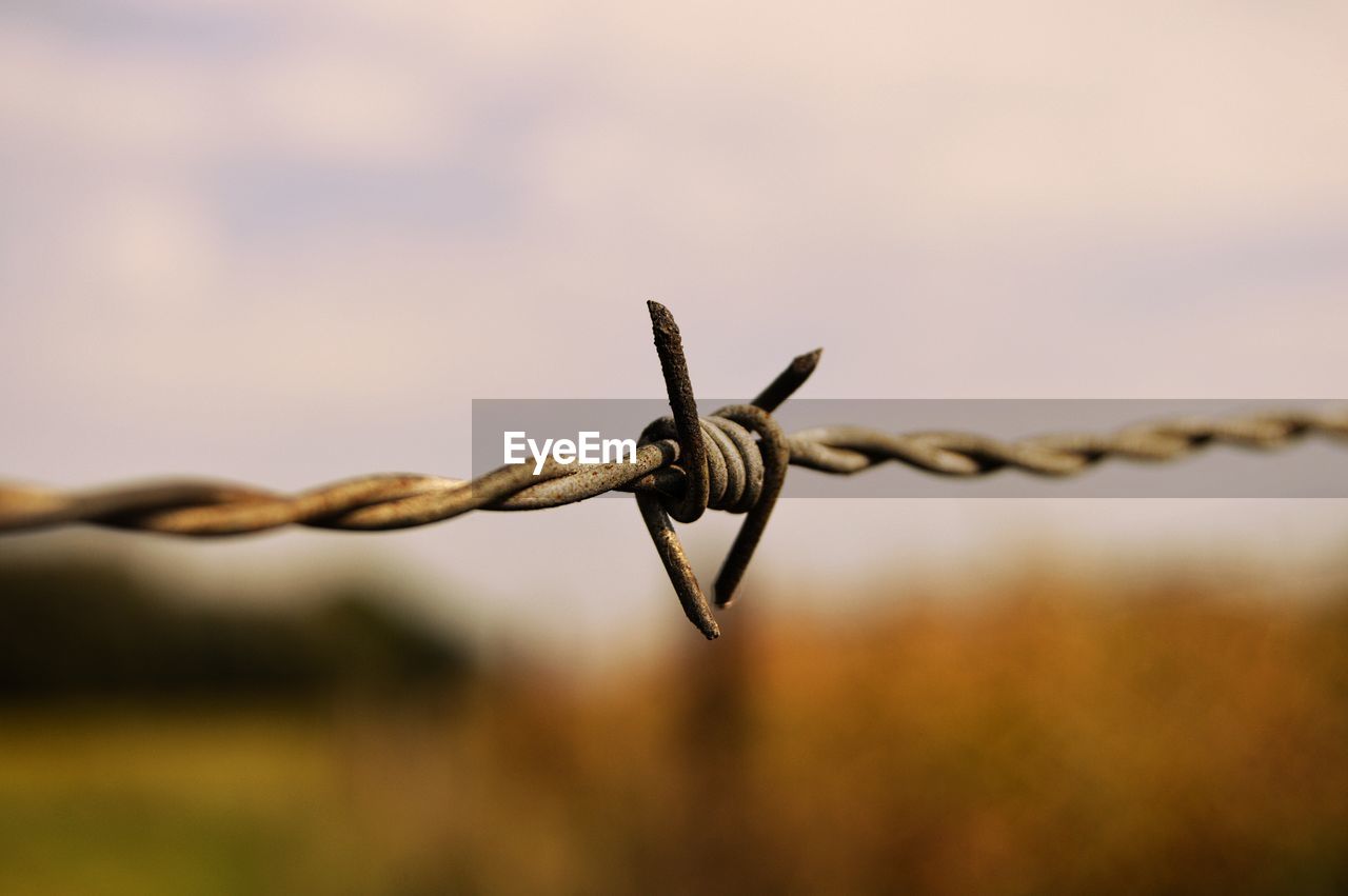 Close-up of barbed wire