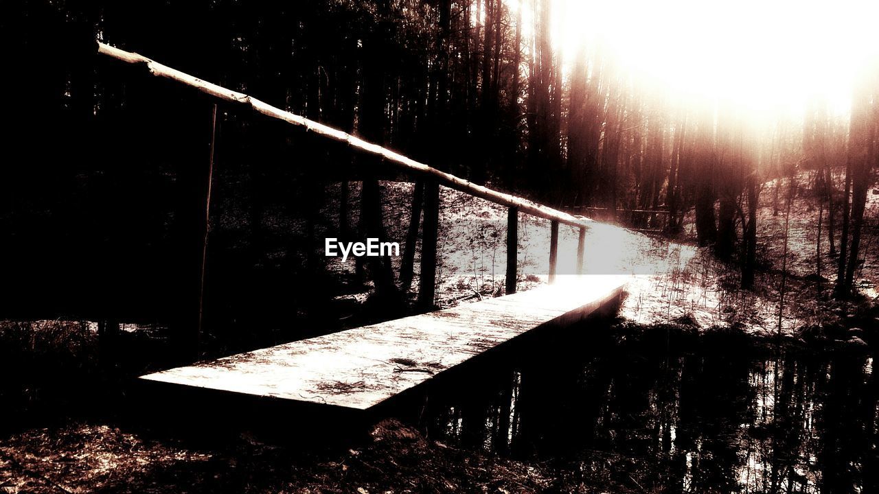 Footbridge in forest at sunset