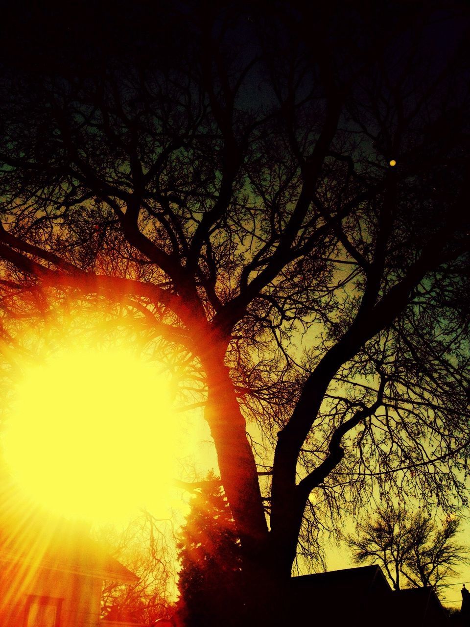 LOW ANGLE VIEW OF BARE TREES AGAINST SKY AT SUNSET