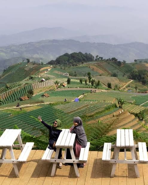 landscape, environment, agriculture, rural scene, adult, nature, scenics - nature, field, mountain, plant, land, farm, food and drink, crop, occupation, high angle view, beauty in nature, men, seat, architecture, rural area, growth, outdoors, two people, food, day, full length, tranquility, plantation, sitting, chair, sky, women, tranquil scene, terrace, working, travel, village, mountain range