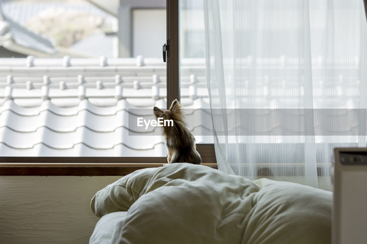 REAR VIEW OF MAN SITTING ON BED