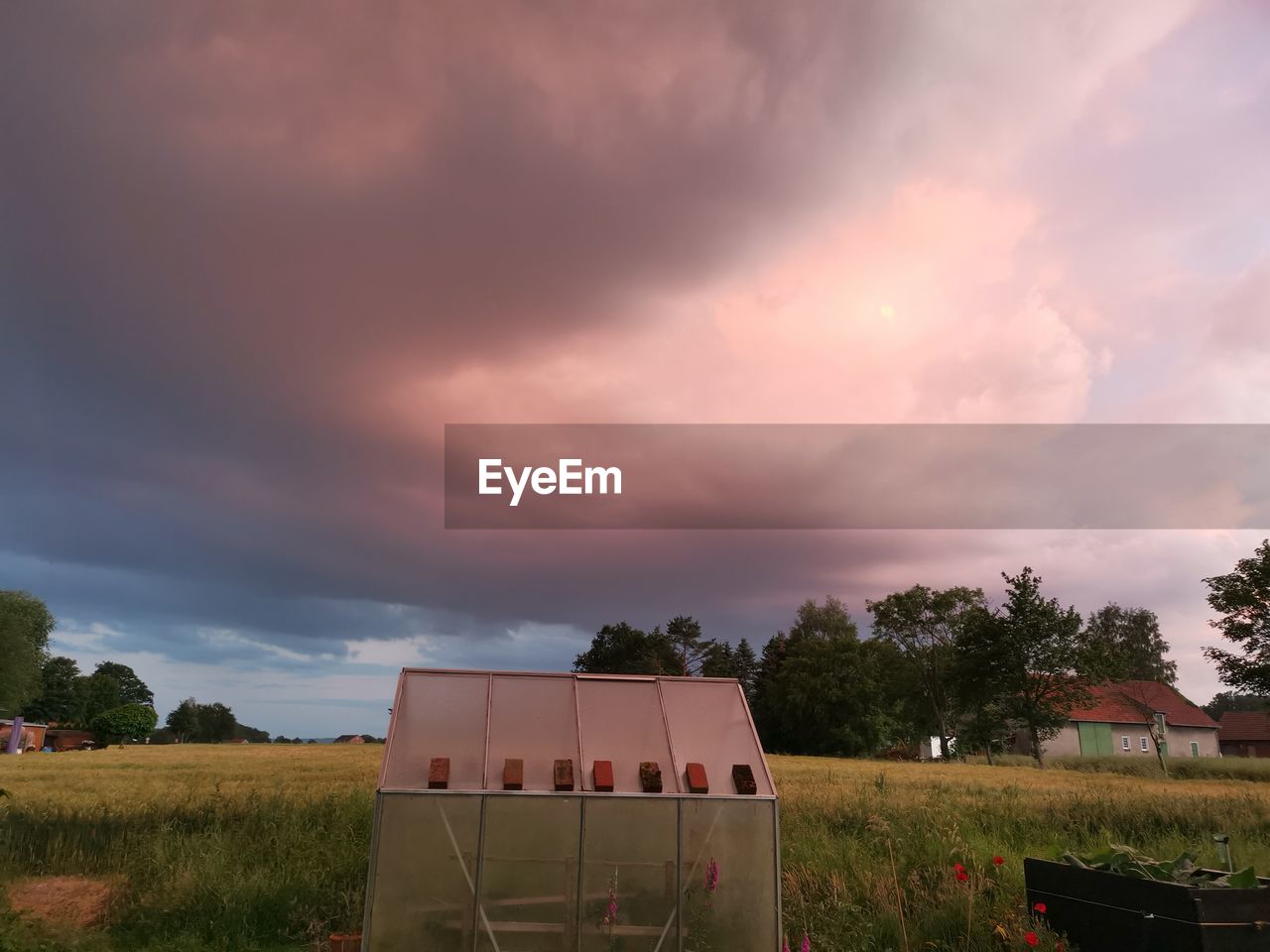 SCENIC VIEW OF AGRICULTURAL FIELD AGAINST SKY DURING SUNSET