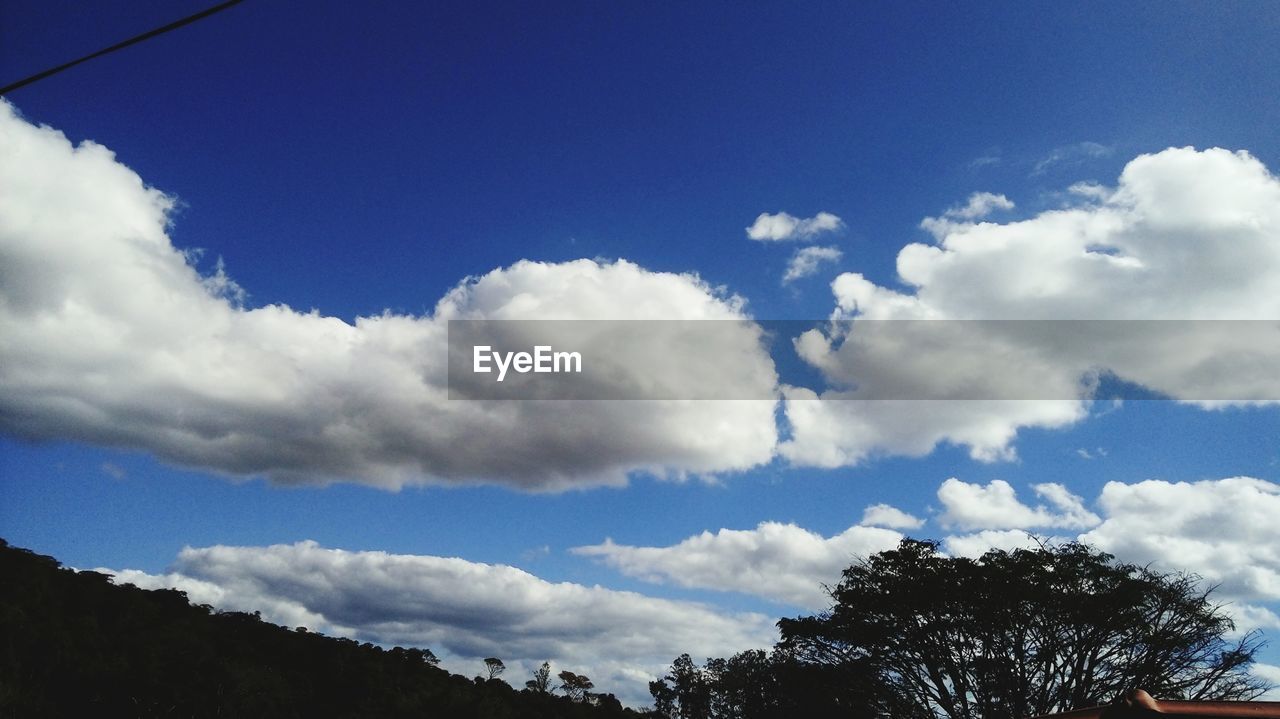 LOW ANGLE VIEW OF TREES AGAINST CLOUDY SKY