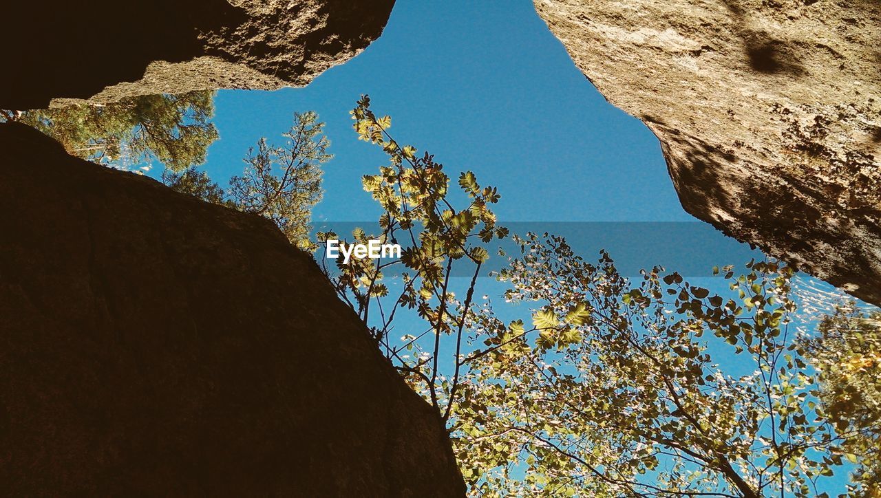 Directly below shot of rocks and trees against blue sky