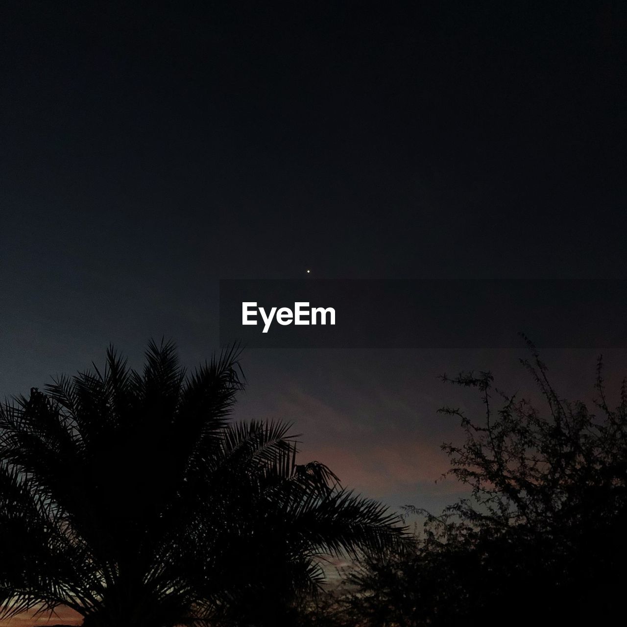 LOW ANGLE VIEW OF SILHOUETTE TREE AGAINST SKY