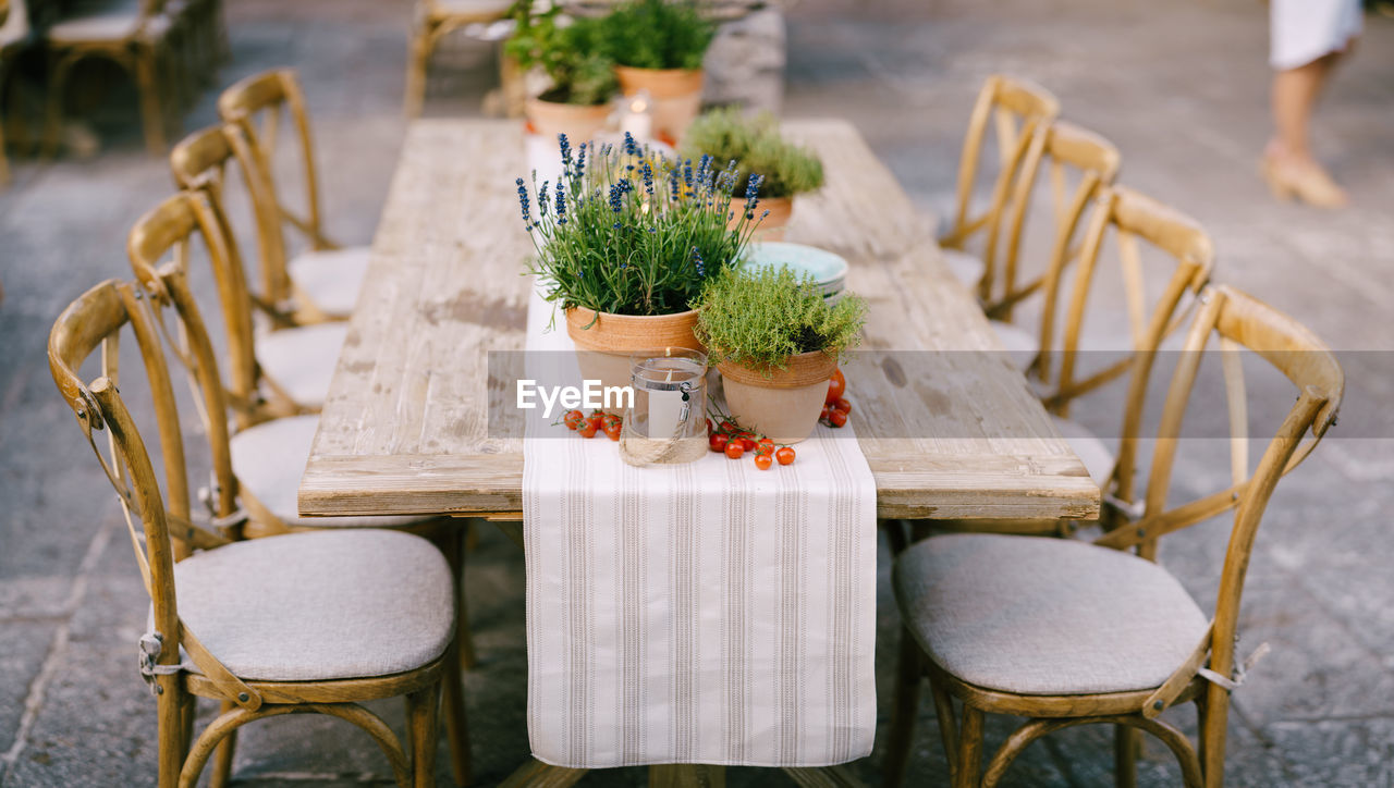 CLOSE-UP OF POTTED PLANT ON TABLE