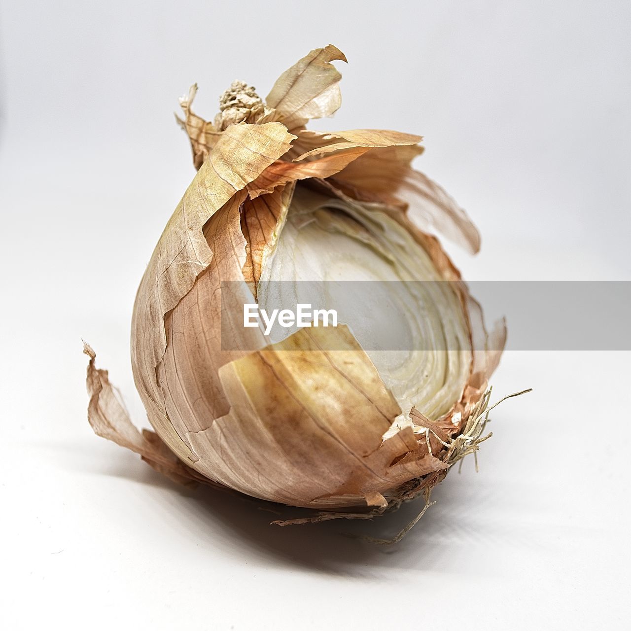 Half onion on white background with slight defocus. isolated piece of food studio shot