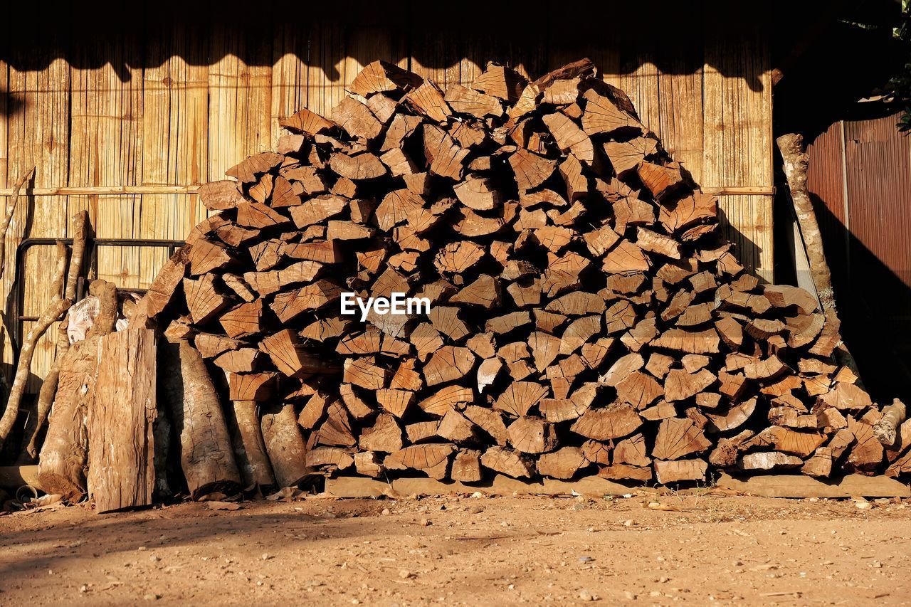 STACK OF FIREWOOD IN FOREST