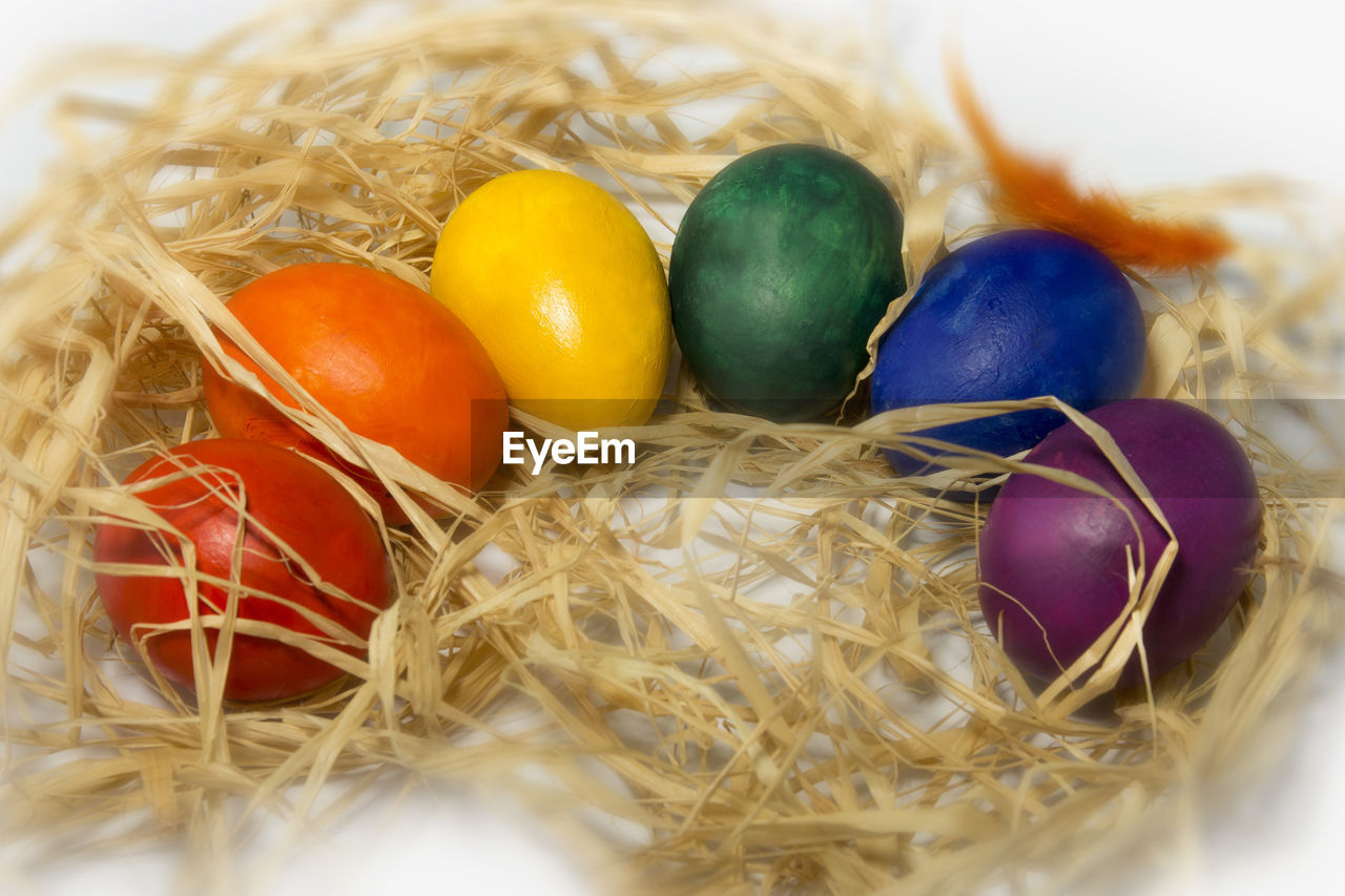 Close-up of colorful easter eggs in nest over white background