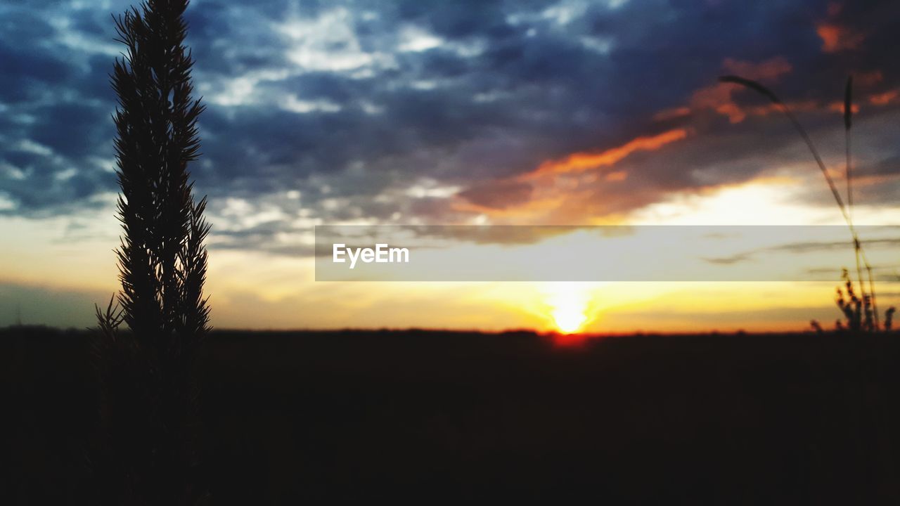 SCENIC VIEW OF SUNSET