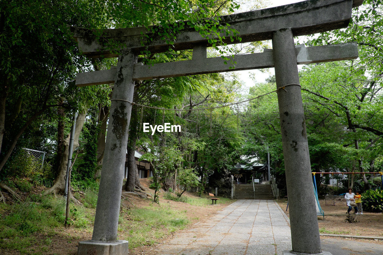 VIEW OF TREES IN PARK