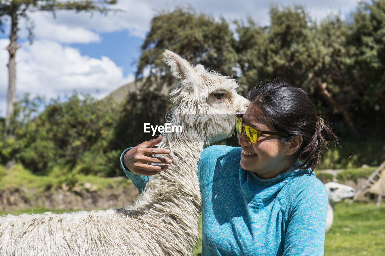 Woman hugging an alpaca, cusco, peru, south america