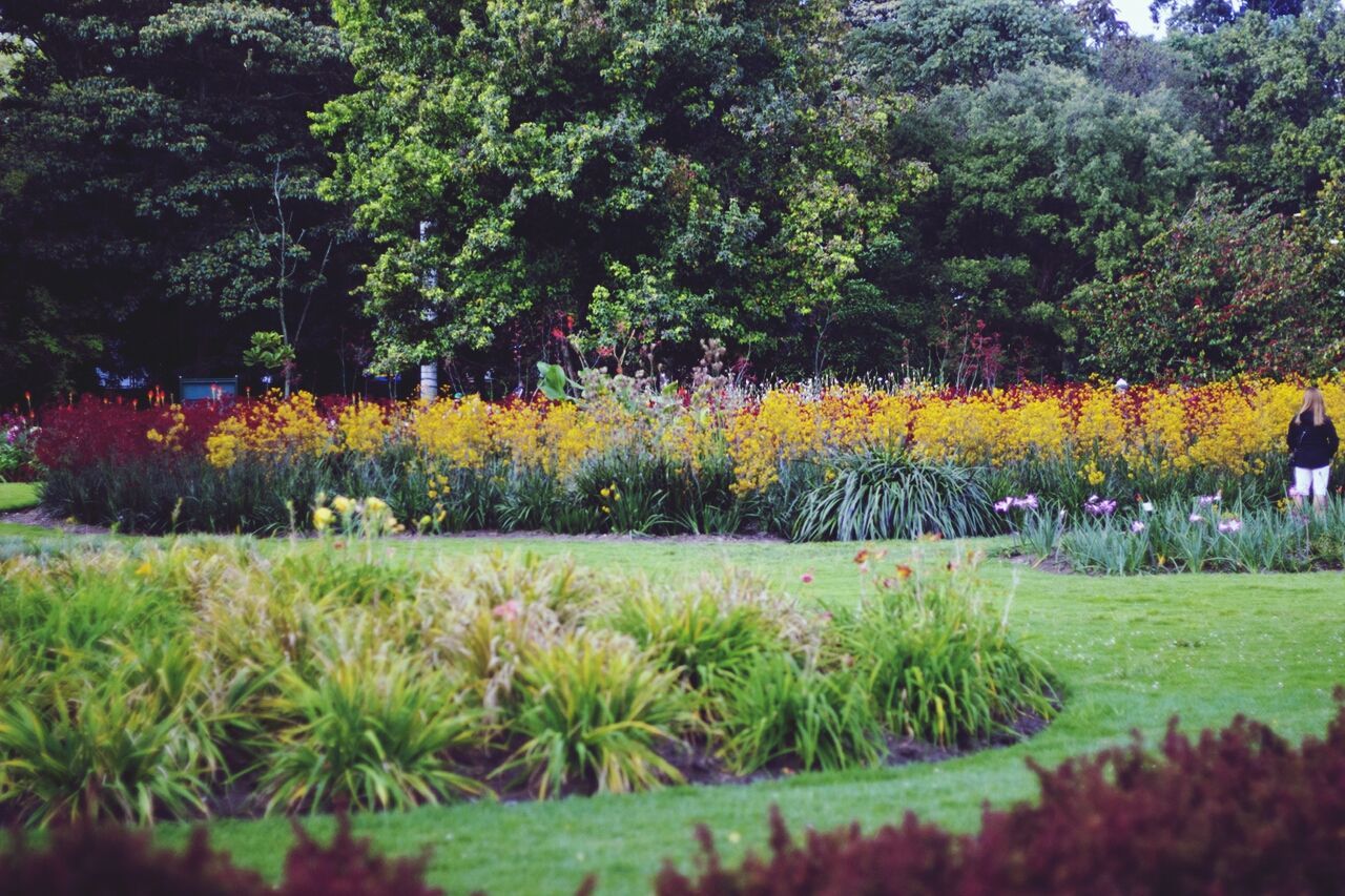 View of a formal garden against trees