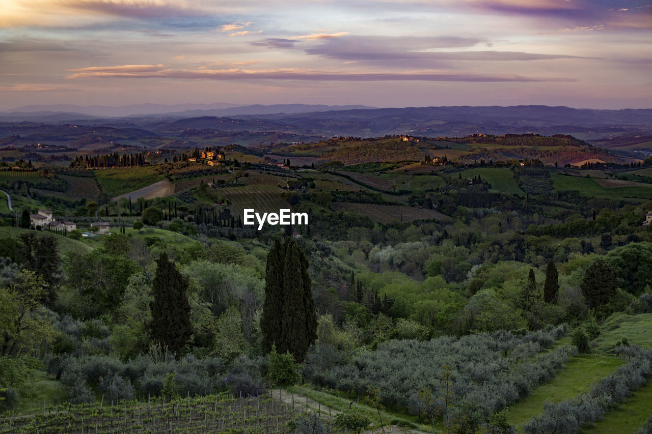 HIGH ANGLE VIEW OF LANDSCAPE AGAINST SKY