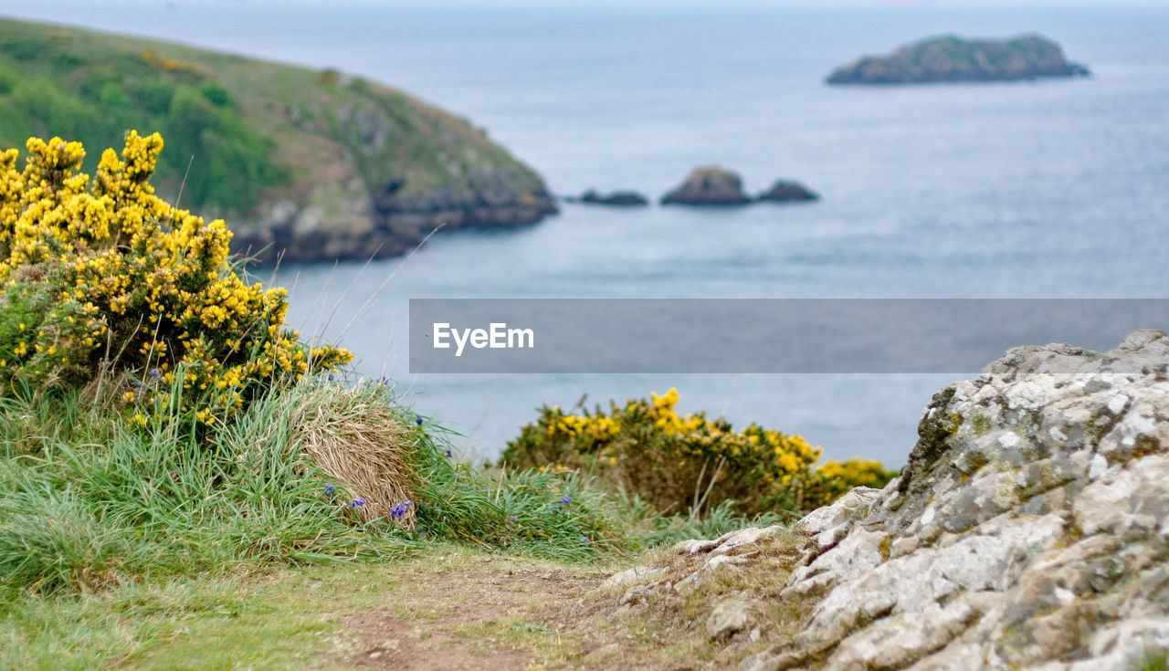 SCENIC VIEW OF SEA AND ROCKS