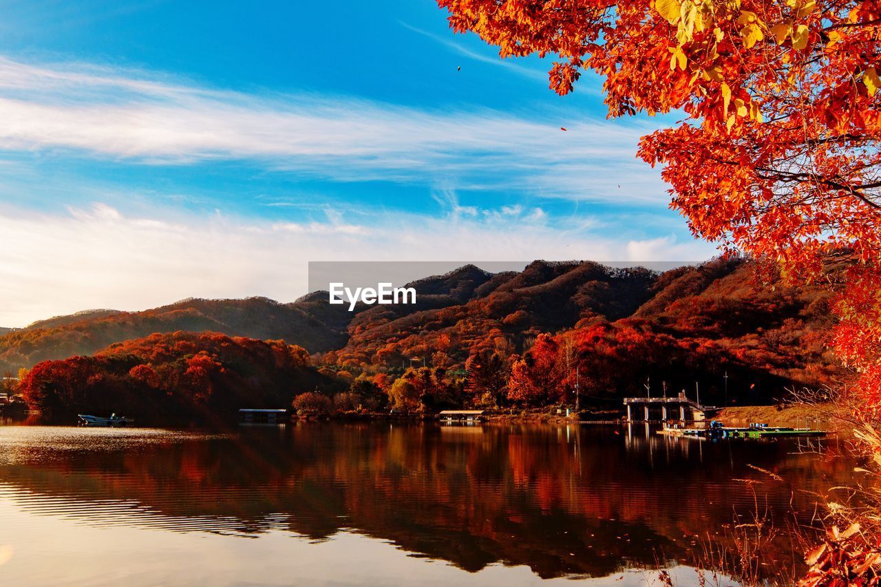 Scenic view of lake by trees against sky during autumn