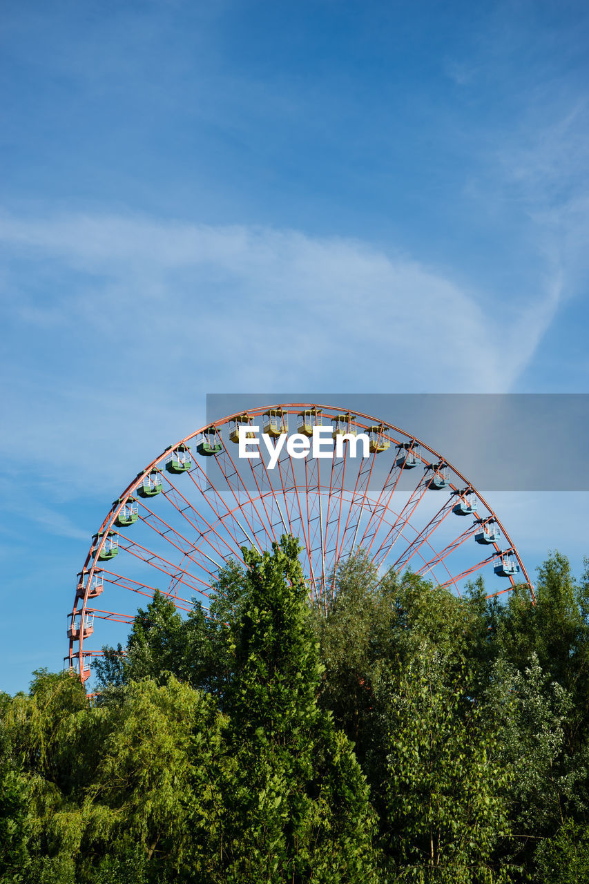 Ferris wheel among trees in an amusement park