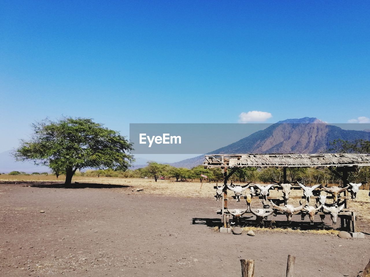 The park is a rough circle with the extinct volcano baluran at its centre